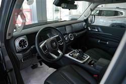 GWM تانك 300
